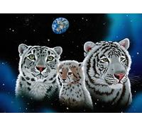 Puzzle Soffice famigliola 2000 pezzi