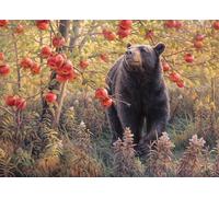 Puzzle Sogni di letargo invernale 500 pezzi