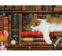 Puzzle Sonno del Gatto XL 500 Pezzi Eurographics