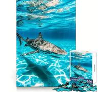 Puzzle sottomarino con squalo zebra per ragazzi, 1000 pezzi, stimolante per la mente, hobby rilassante, blocco solido, regalo premuroso (50x75cm)
