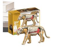Puzzle Squalo Realistico Interattivo Squalo Tigre Giocattolo | di Puzzle 3D Scheletro Animale Per Bambini Bambine Famiglia Scuola Asilo Centro Diurno