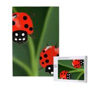 Puzzle stampato coccinella prin con scatola, puzzle in legno per adulti e bambini, 1000 pezzi gioco decorativo divertente per la famiglia