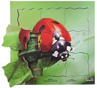 Puzzle stratificato in legno Just Jigsaws Coccinella e il suo ciclo vitale 19 pezzi
