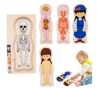 Puzzle Sulla Struttura Del Corpo Umano - Kit Didattico Per L'apprendimento 'anatomia, | Giocattoli Scheletro Interattivi Puzzle Modello 3D, Materiale Durevole Non Tossico, Per Bambini Ado