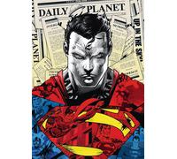 Puzzle Superman 1000 Pezzi Trefl Premium Plus