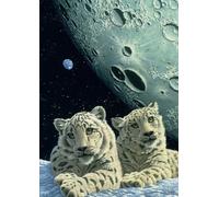Puzzle Tana dei leopardi delle nevi 2000 pezzi GRAFIKA