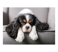 Puzzle Toy Animal Set di 200 pezzi (35 x 25 cm) Knight Charlie Dog Puppy Puzzle, decorazione da parete di gioco a casa