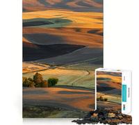 Puzzle "Tramonto sulle colline di Palouse" per ragazzi, 1000 pezzi, gioco di logica, divertimento rilassante, bordi lisci, regalo di compleanno 38x52cm