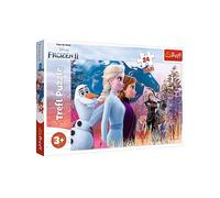 Puzzle TREFL 14298