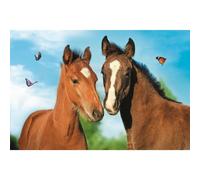Puzzle trefl Animali carini: Coppia di cavalli 54 pezzi 1 St