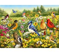 Puzzle Uccelli sul Prato 500 pezzi