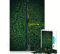 Puzzle "Verdant Sanctuary Road" per ragazzi,1000 pezzi,gioco stimolante per la mente,montaggio sicuro e stabile,attività di condivisione per i propri cari (50x75cm)