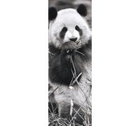 Puzzle verticale panda