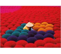Educa - Puzzle da 1000 pezzi per adulti | Villaggio dell'incenso, Vietnam. Include colla Fix Puzzle. Dimensioni: 68 x 48 cm. Dai 14 anni (20282)