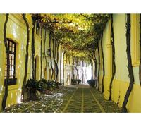 Puzzle Viuzza Andalusa 1000 Pezzi