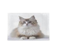 Puzzles - Puzzle in legno bianco con gatto a pelo lungo, 1000 pezzi, per adulti, 75 x 40 cm