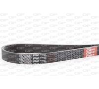 PVB1675.07 OPEN PARTS Cinghia Poly-V per LANCIA,NISSAN,RENAULT