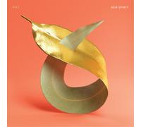 PVT New Spirit (Vinyl LP) 12" Album