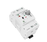 PVTLCYBI G2R Tipo su Guida Mini ATS Interruttore di trasferimento Automatico selettore Elettrico Doppio Interruttore di Alimentazione Tipo su Guida 2P 4P 110V 220V(220V,G2R 2P 63A)