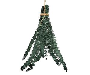 PW TOOLS Doccia Eucalipto Appeso, Eucalipto per Doccia, 10 Pezzi Fascio di Eucalipto Essiccato Naturale, Appeso Fascio di Foglie di Eucalipto Naturale dal Vivo e Aromatico per la Cura di Se Stesso