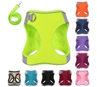 PWOD Set di pettorina per cani con guinzaglio, catarifrangente anti-tiro, con 1 clip per guinzaglio, regolabile, morbida imbottita, per cani di taglia piccola, media e grande, gatti (fluorescente, XL)