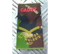 Pwrr Mostrina Woodland Dpm Mimetico Principessa Of Wales's Acf British Army