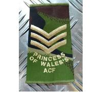 Pwrr Mostrina Woodland Dpm Mimetico Principessa Of Wales's Acf British Army