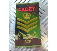 Pwrr Mostrina Woodland Dpm Mimetico Principessa Of Wales's Acf British Army