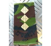 Pwrr Mostrina Woodland Dpm Mimetico Principessa Of Wales's Acf British Army