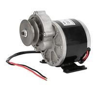 Pwshymi Puleggia per Cinghia 250W Coppia Elevata 24V Motoriduttore Motore Stabile in Metallo per Bicicletta elettrica