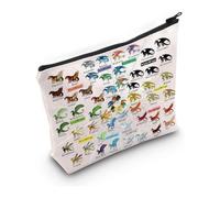 PXTIDY Borsa per trucchi con drago e scritta in inglese "Wings Fire", idea regalo per amanti dei draghi Darkstalker, Stile 2, One_Size, Astuccio per trucchi