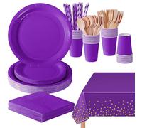 PYAILI Stoviglie per Feste 169 Pezzi Viola Intenso Festa della Addobbi Ragazza di Compleanno dei Dambini Articoli per Feste Set Include Piatto Carta Party Tazze Tovaglioli -24 Ospiti