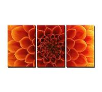 PYBILDCYJ Quadro su Tela Artistico Set da 3 Quadro trittico su Tela Petali di fiore astratti Decorazione Moderna Incorniciata, Ideale come Regalo (50 x 75cm x3)