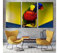 PYBILDCYJ Wall Art su Tela 3 Pezzi Poster ad Pittura su tela Pappagallo colorato seduto Decorazione Moderna non Incorniciata per Soggiorno - 40 x 60cm x3
