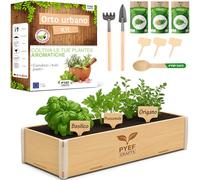 PYEF CRAFTS Kit Orto in Casa Erbe Aromatiche Kit Giardinaggio per Piante Aromatiche Basilico, Origano, Prezzemolo e Coriandolo - Set Coltivazione per Orto da Balcone e Cucina
