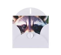 Pyjwyfmy Set di biglietti di auguri perlati con stampa di un piccolo procione, biglietti di compleanno e buste vuote, biglietti di ringraziamento