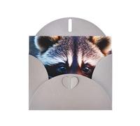 Pyjwyfmy Set di biglietti di auguri perlati con stampa di un piccolo procione, biglietti di compleanno e buste vuote, biglietti di ringraziamento