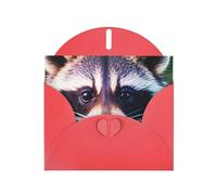 Pyjwyfmy Set di biglietti di auguri perlati con stampa di un piccolo procione, biglietti di compleanno e buste vuote, biglietti di ringraziamento