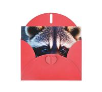 Pyjwyfmy Set di biglietti di auguri perlati con stampa di un piccolo procione, biglietti di compleanno e buste vuote, biglietti di ringraziamento