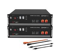 Pylontech 2X US3000C LiFePO4 Batteria da 7kWh con set di cavi di collegamento per inverter