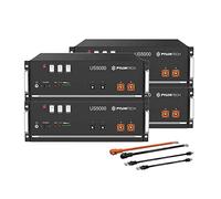 Pylontech 4X US5000 LiFePO4 Batteria da 19,2kWh con set di cavi di collegamento per inverter, 015655-014