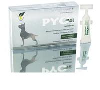 PYOCLEAN Oto 10fl.5ml