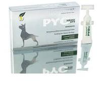PYO CLEAN OTO MONODOSE 10 PIPETTE 5 ML