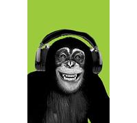 Pyramid America Poster Maxi casco Chimpanzee