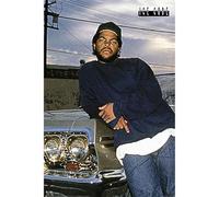 Pyramid Ice Cube: Impala (Maxi Poster) Merchandising Ufficiale, F4C2A5514D, multicolore