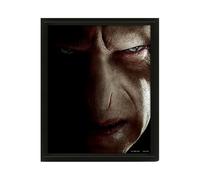 PYRAMID International CUADRO 3D Harry Potter Voldemort