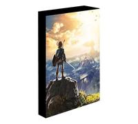 LEGEND OF ZELDA - Into The Wilds - Light Canvas 40 ACC NUOVO