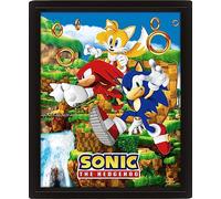 Quadro 3D Sonic con Effetto Lenticolare