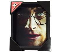 PYRAMID International CUADRO 3D Harry Potter Voldemort