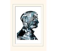 Pyramid International Doctor Who (Troughton) - Memorabilia, Formato 30 x 40 cm, Carta, Multicolore, 30 x 40 x 1.3 cm